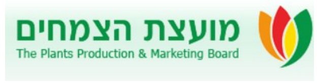 סטליט דיגיטל